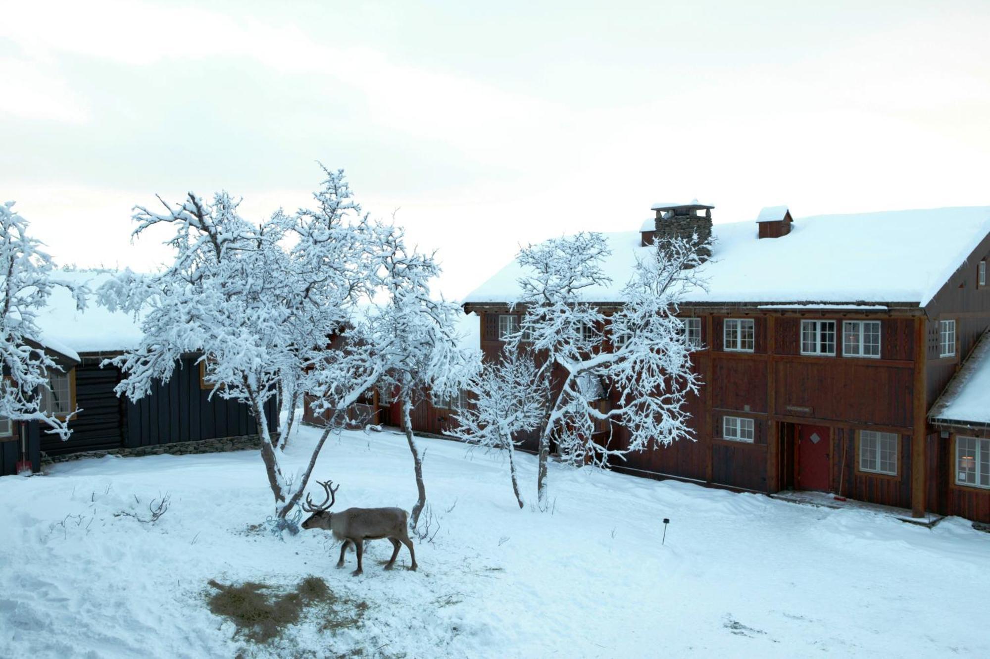 Harahorn Fjellgard Hotel Grondalen  Exterior photo