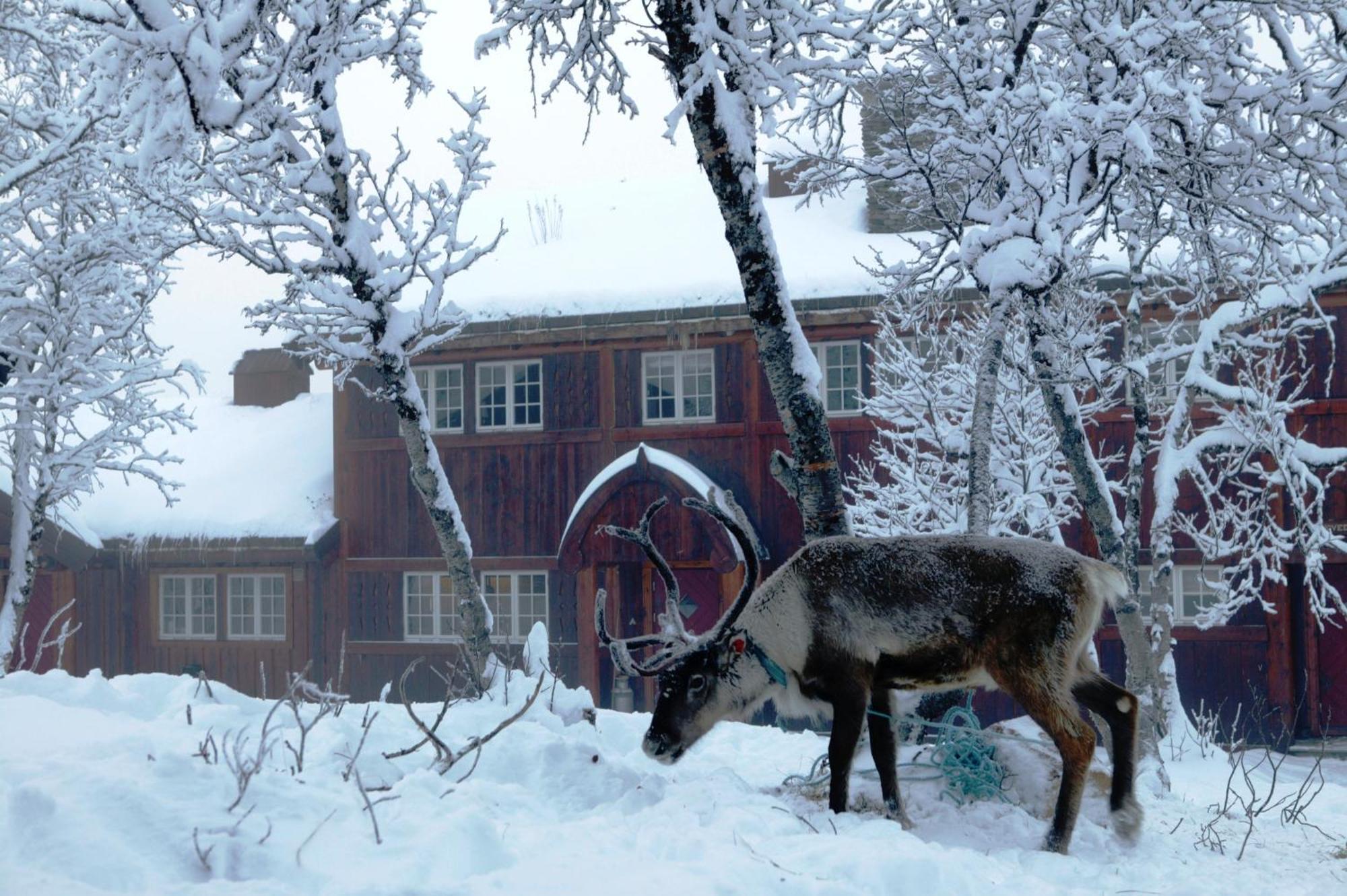 Harahorn Fjellgard Hotel Grondalen  Exterior photo
