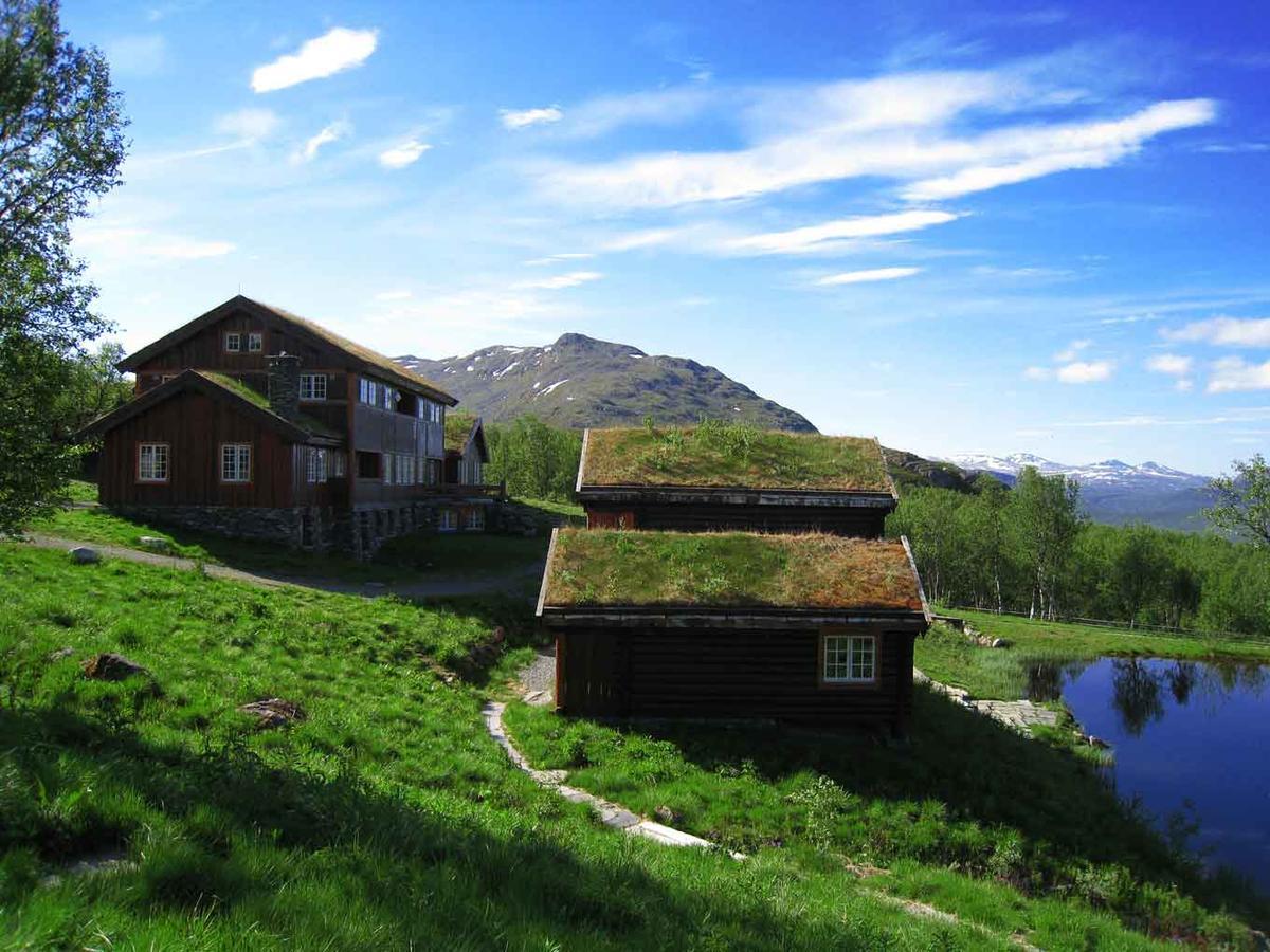 Harahorn Fjellgard Hotel Grondalen  Exterior photo
